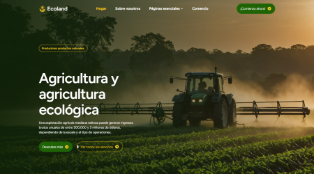 web6